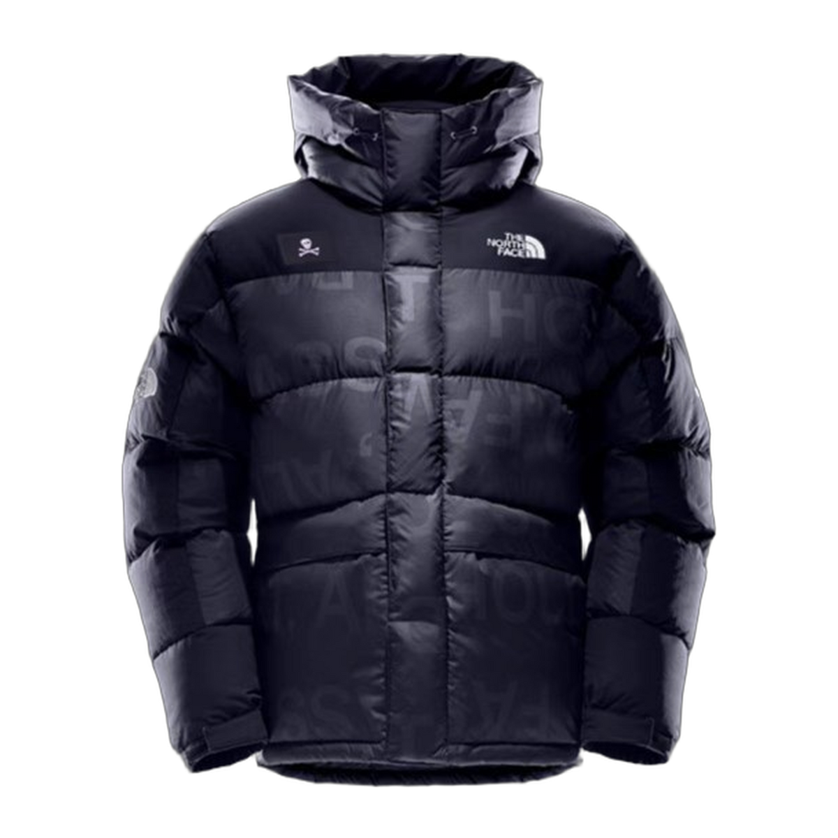 The North Face UE Urban Exploration Down Parka – 5J27