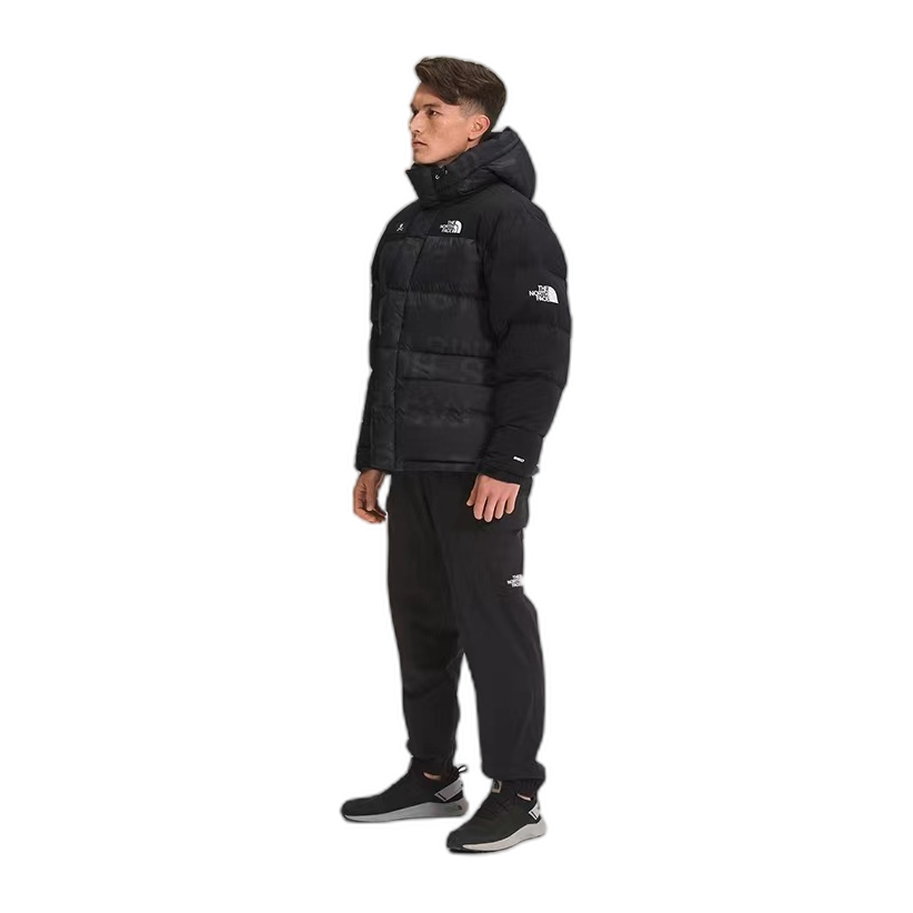 The North Face UE Urban Exploration Down Parka – 5J27